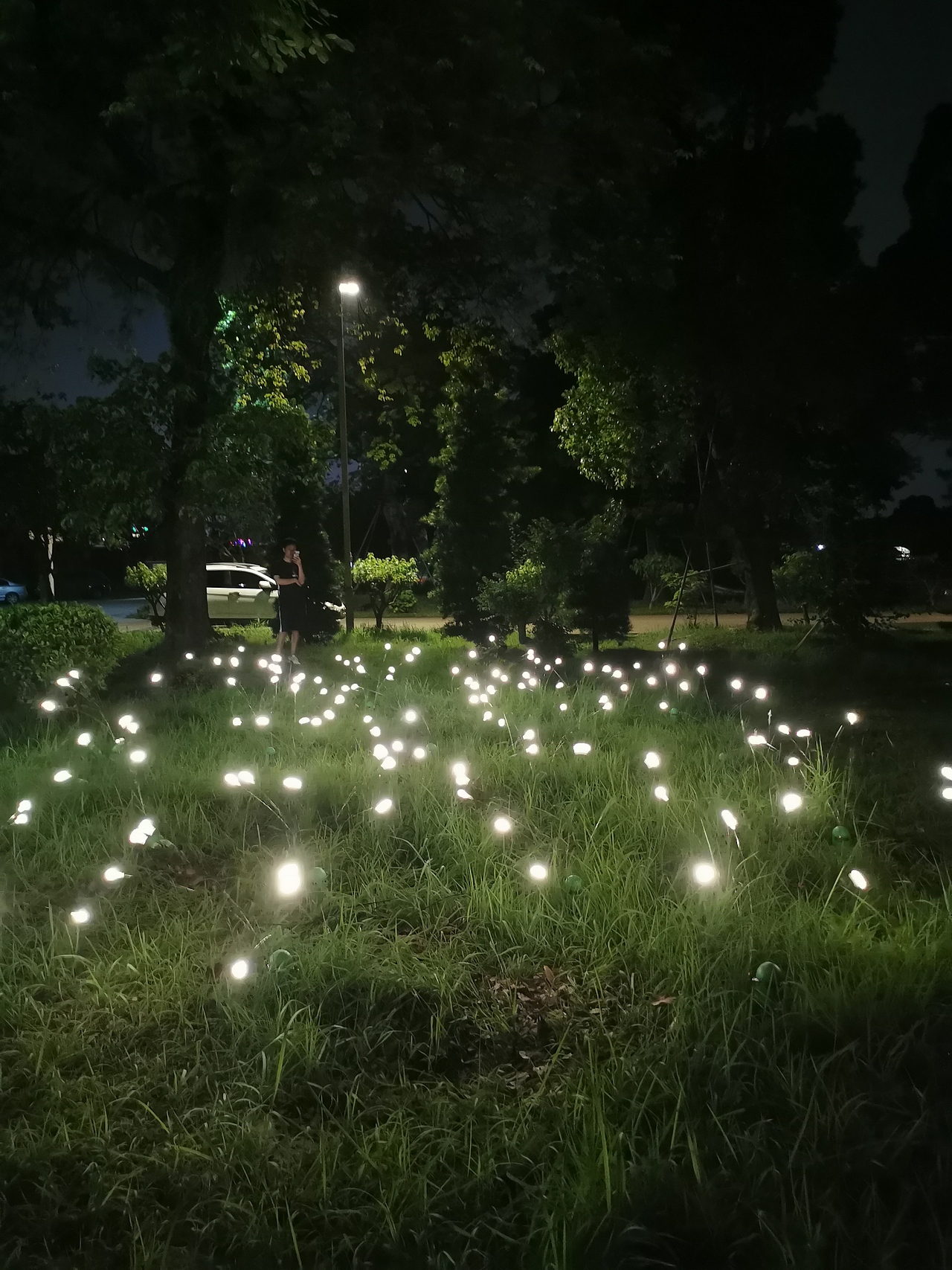 最热门户外萤火虫草坪灯专业生产工厂铭星定制文旅灯光