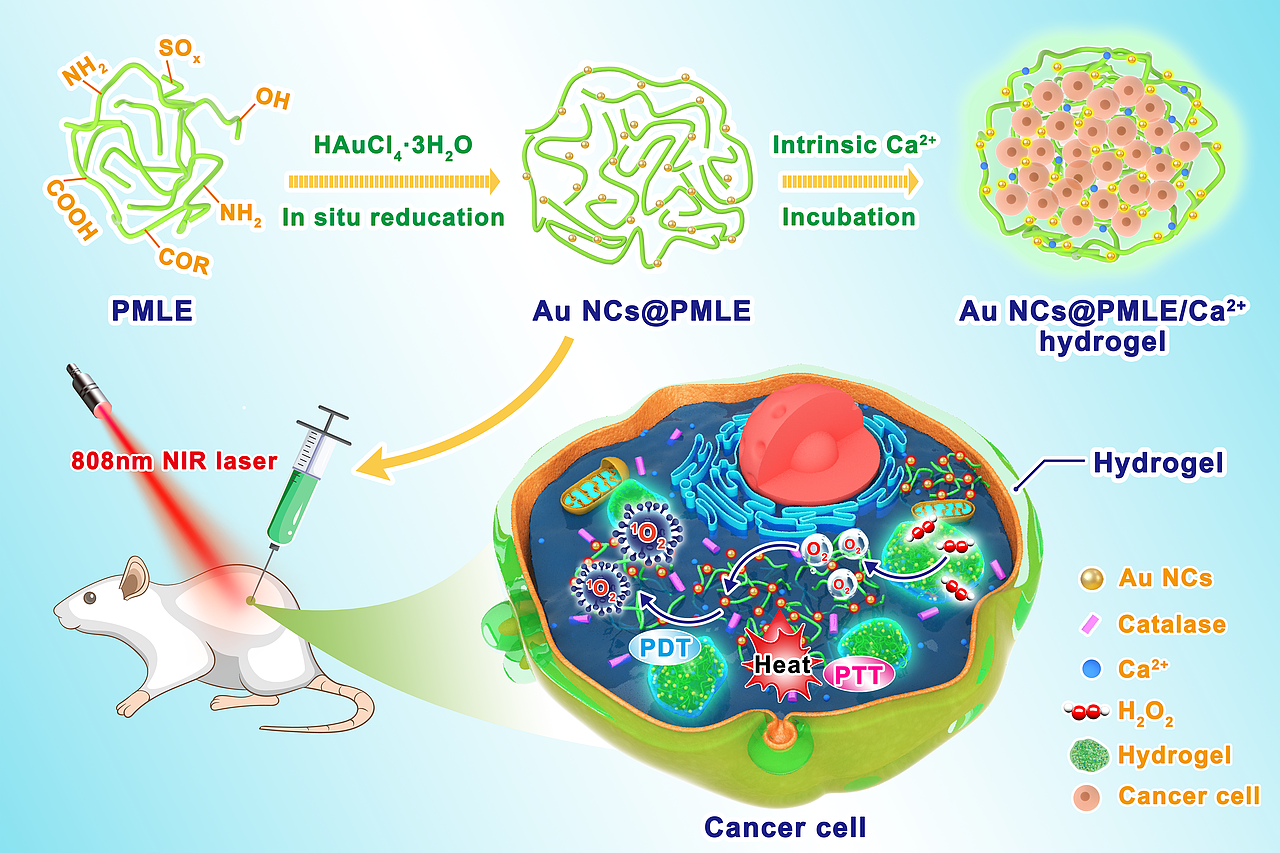 科研绘图—近期设计的生物学相关的论文机理图（图ZMjkzMjYyNjA0） - 创作习作 - 站酷设计师林间有灵原创素材 - 站酷ZCOOL