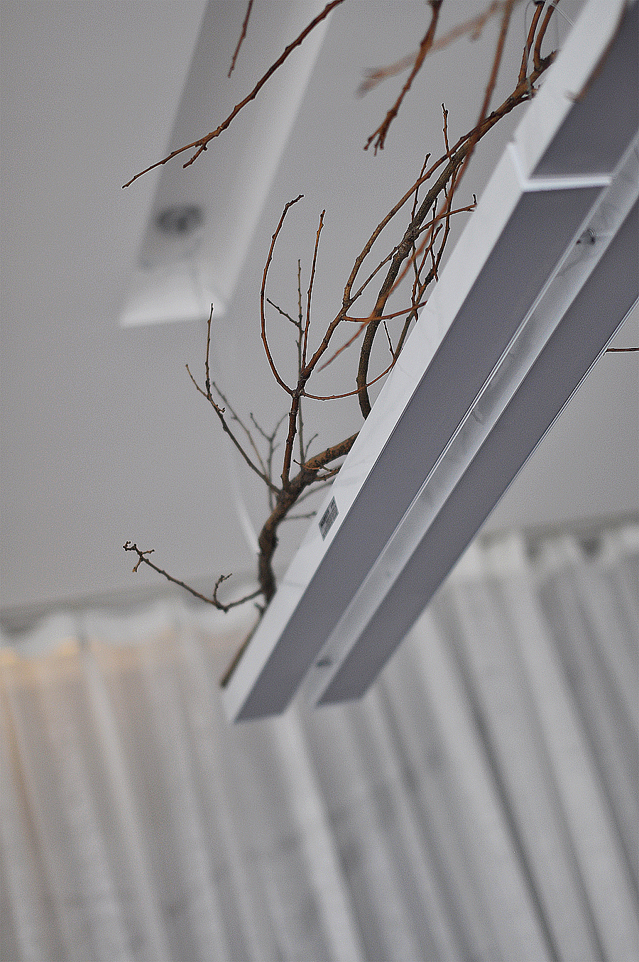 曾经的工作室--郑瑞都作品