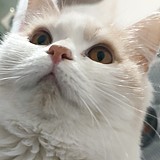 鑫煜的zhanku的头像