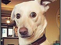 大创新年页面（个人主页-ZMjU5NDY1NDA=） - 电商 - 站酷设计师樱花睿雪原创素材 - 站酷ZCOOL