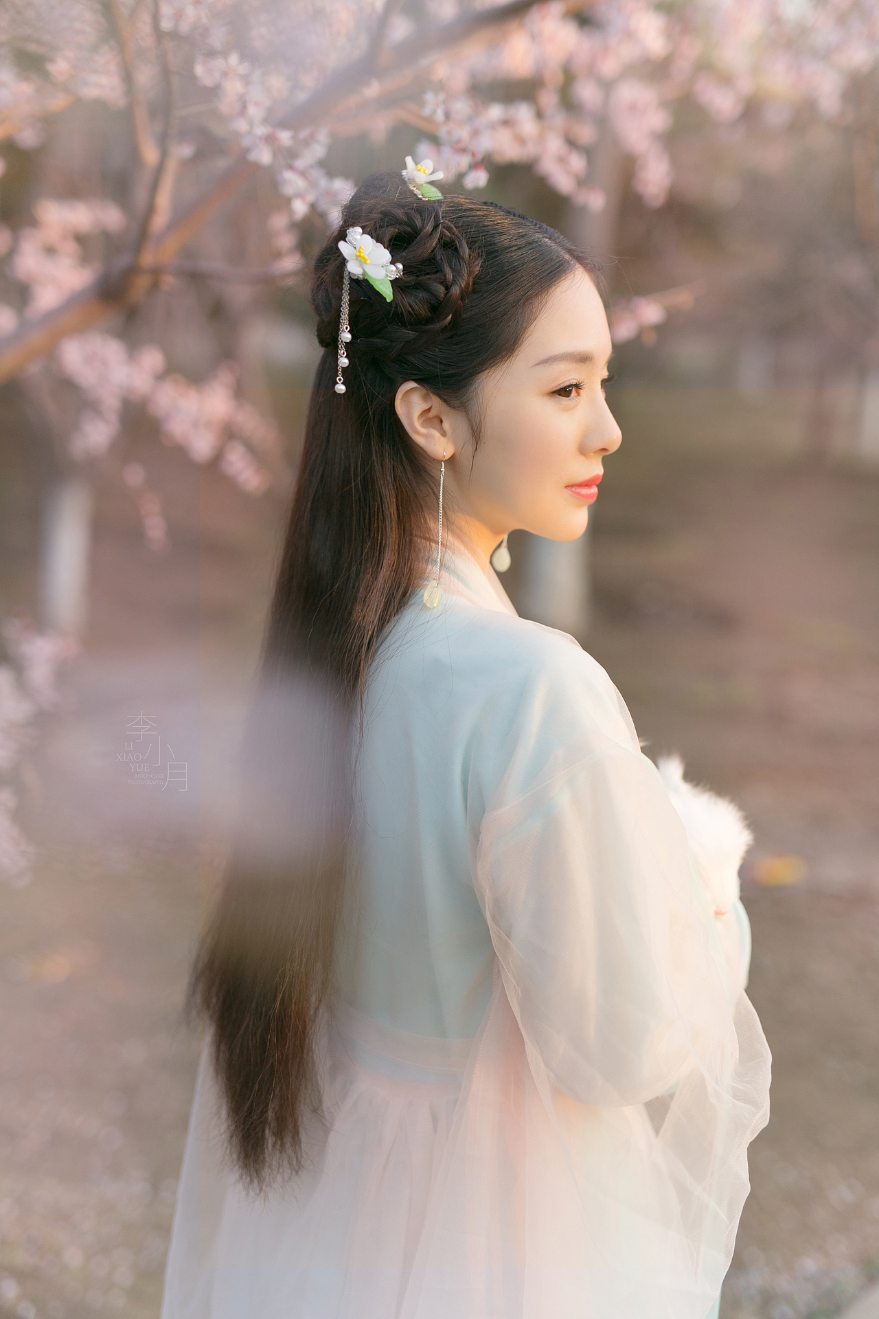 三生三世十里桃花