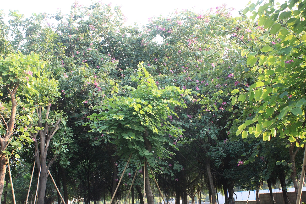 温暖，关爱，包容