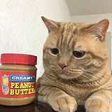 李贝拉拉拉拉的头像