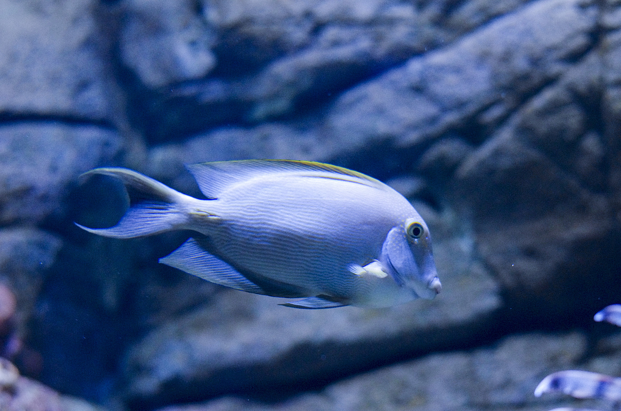 海底世界（图ZOTk2OTYwOTY=） - 风光摄影 - 站酷设计师suki1011原创素材 - 站酷ZCOOL