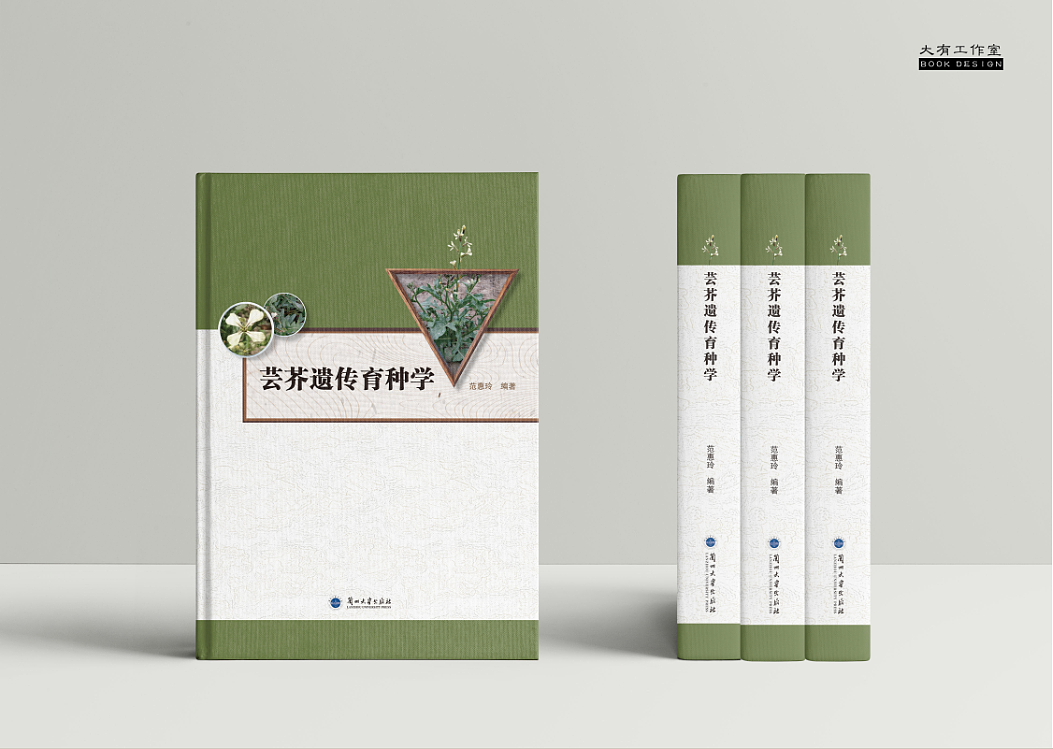 图书封面设计（图ZMjI5OTc2Mzgw） - 书籍/画册 - 站酷设计师大有工作室原创素材 - 站酷ZCOOL