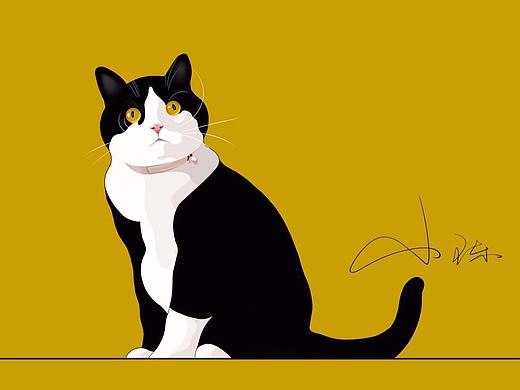 扁平插画、心头猫插画练习