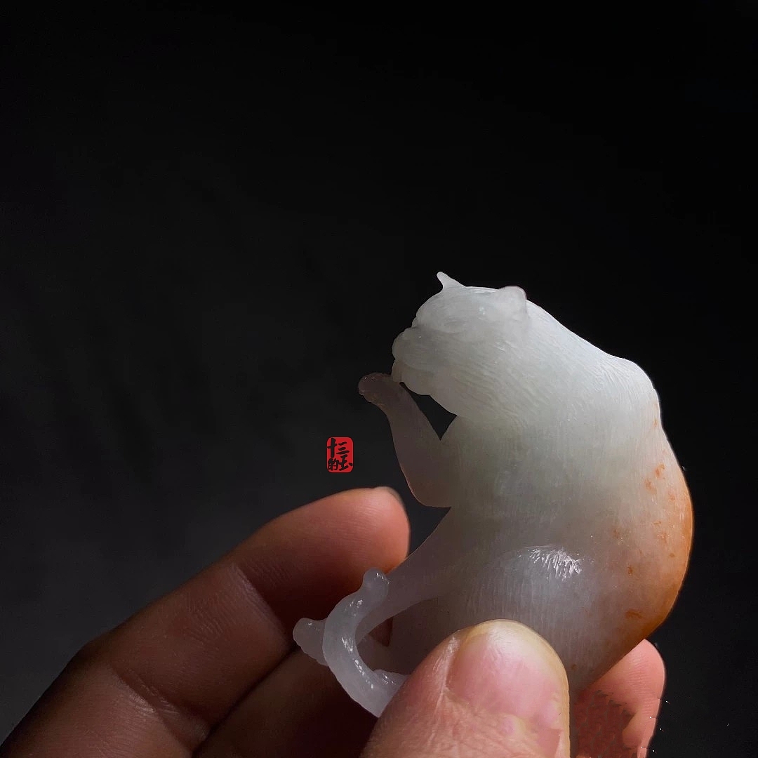 孤傲·自由·大橘猫