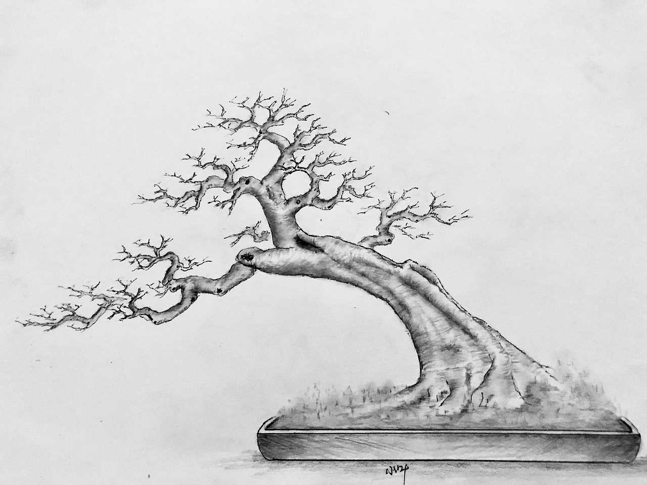 手绘盆景设计图（图ZMTU3NzcyNjgw） - 像素画 - 站酷设计师Z75835907原创素材 - 站酷ZCOOL