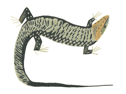 Summer in mountains（图ZMjkzOTk4MDQw） - 绘本 - 站酷设计师Ptashnik原创素材 - 站酷ZCOOL