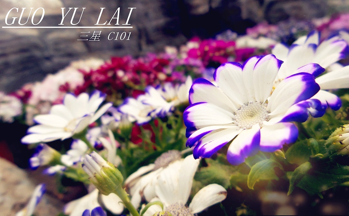 手机摄影（图ZMjMyOTM0NDQ=） - 修图/后期 - 站酷设计师那个修照片的原创素材 - 站酷ZCOOL