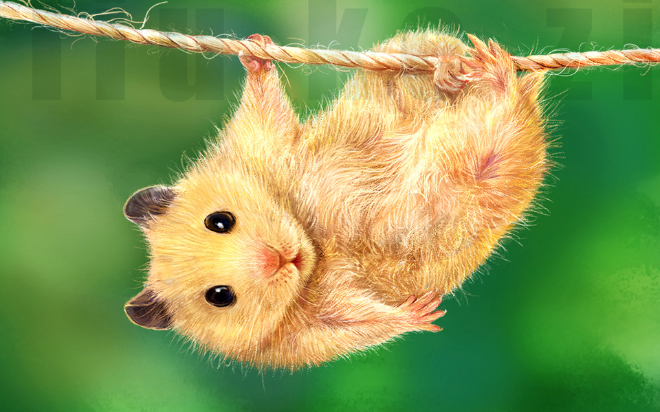 毛茸茸治愈——手绘可爱小动物