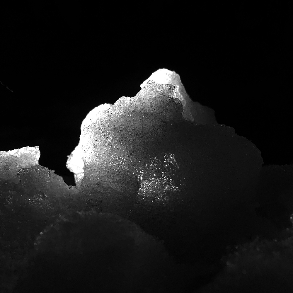 手机随拍，记录生活点滴（肆）