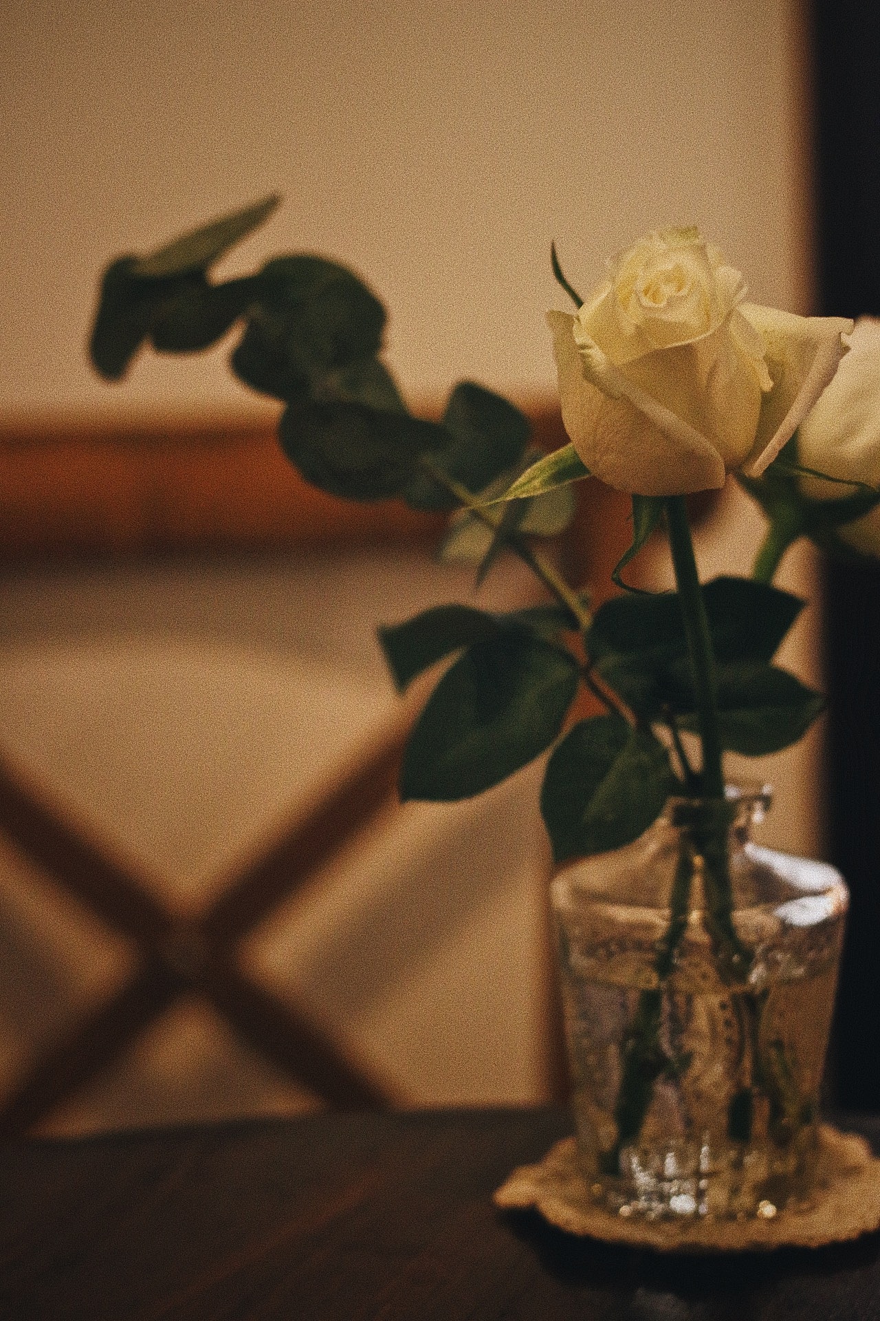 恬咖啡画廊的温柔梦想