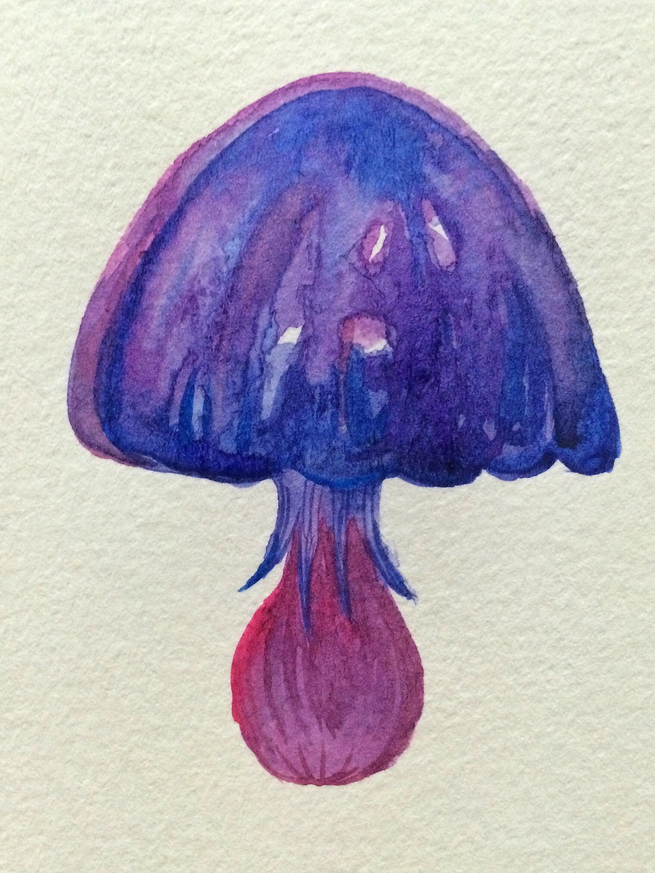 一天画一蘑菇，21天成习惯。（图ZMjI5ODQxNjQ=） - 创作习作 - 站酷设计师Moogu_蘑菇原创素材 - 站酷ZCOOL