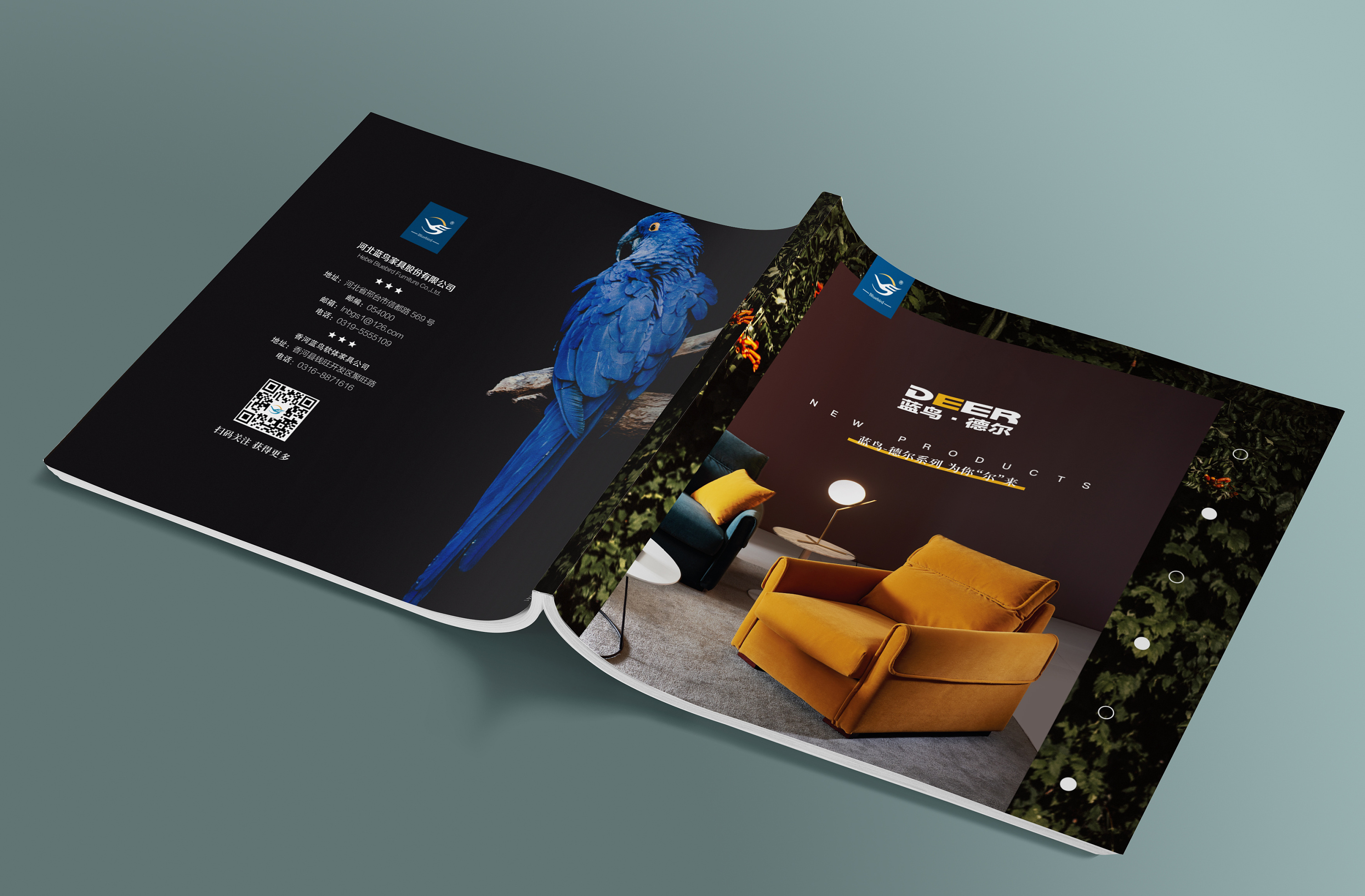 蓝鸟家具 | 图册封面