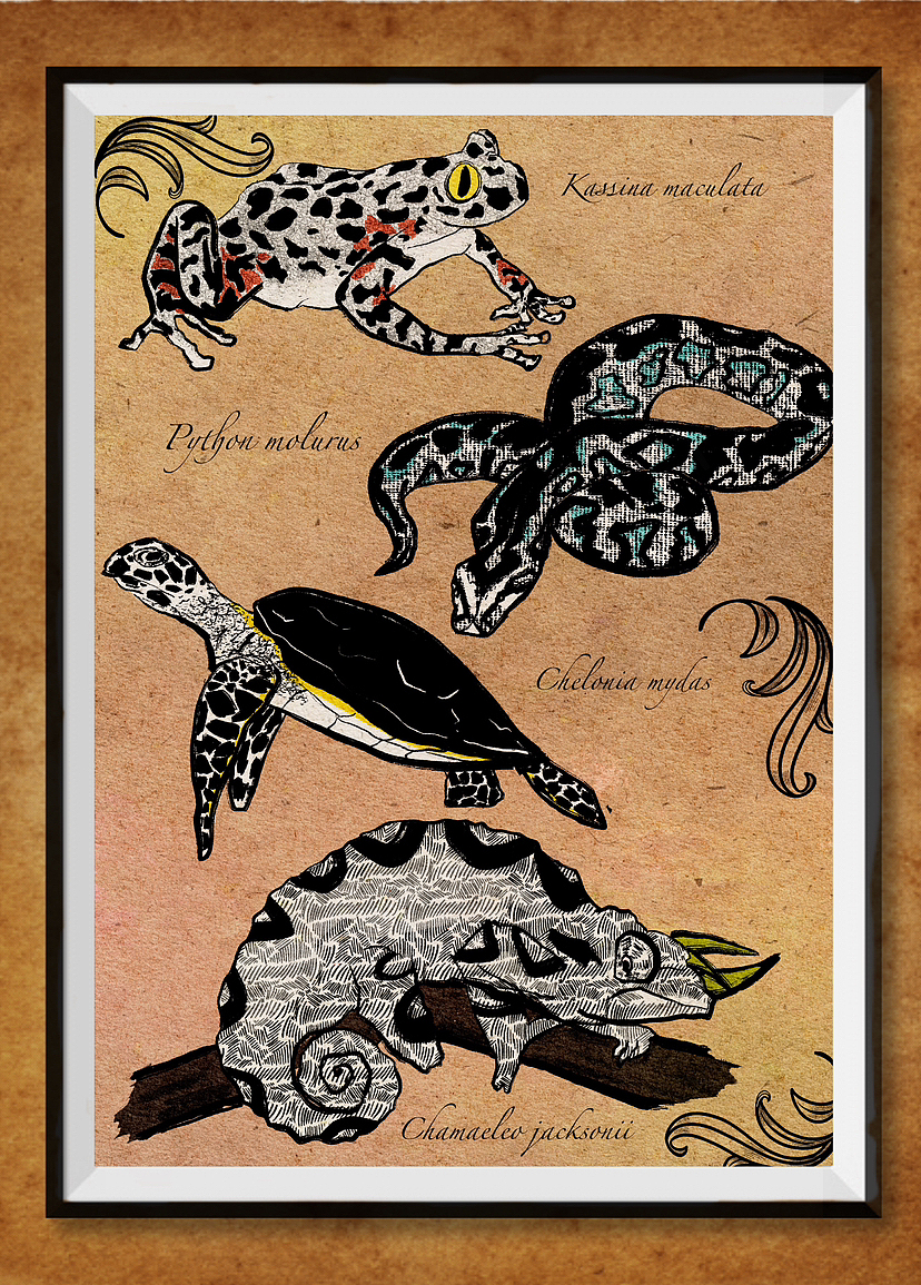 黑白复古线描爬宠插画