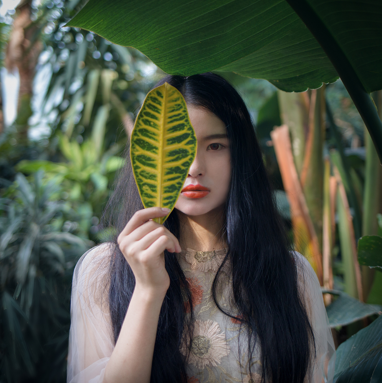 热带雨林（图ZODIwNDgzNjg=） - 人像摄影 - 站酷设计师M_Cony原创素材 - 站酷ZCOOL