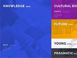 蔡崇信篮球奖学金-品牌形象提案