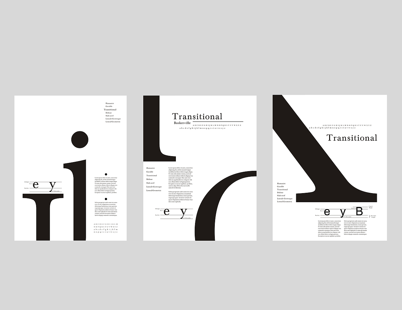 字体解剖_海报设计（图ZMTI3MDQxMDYw） - 字体/字形 - 站酷设计师robin喵原创素材 - 站酷ZCOOL