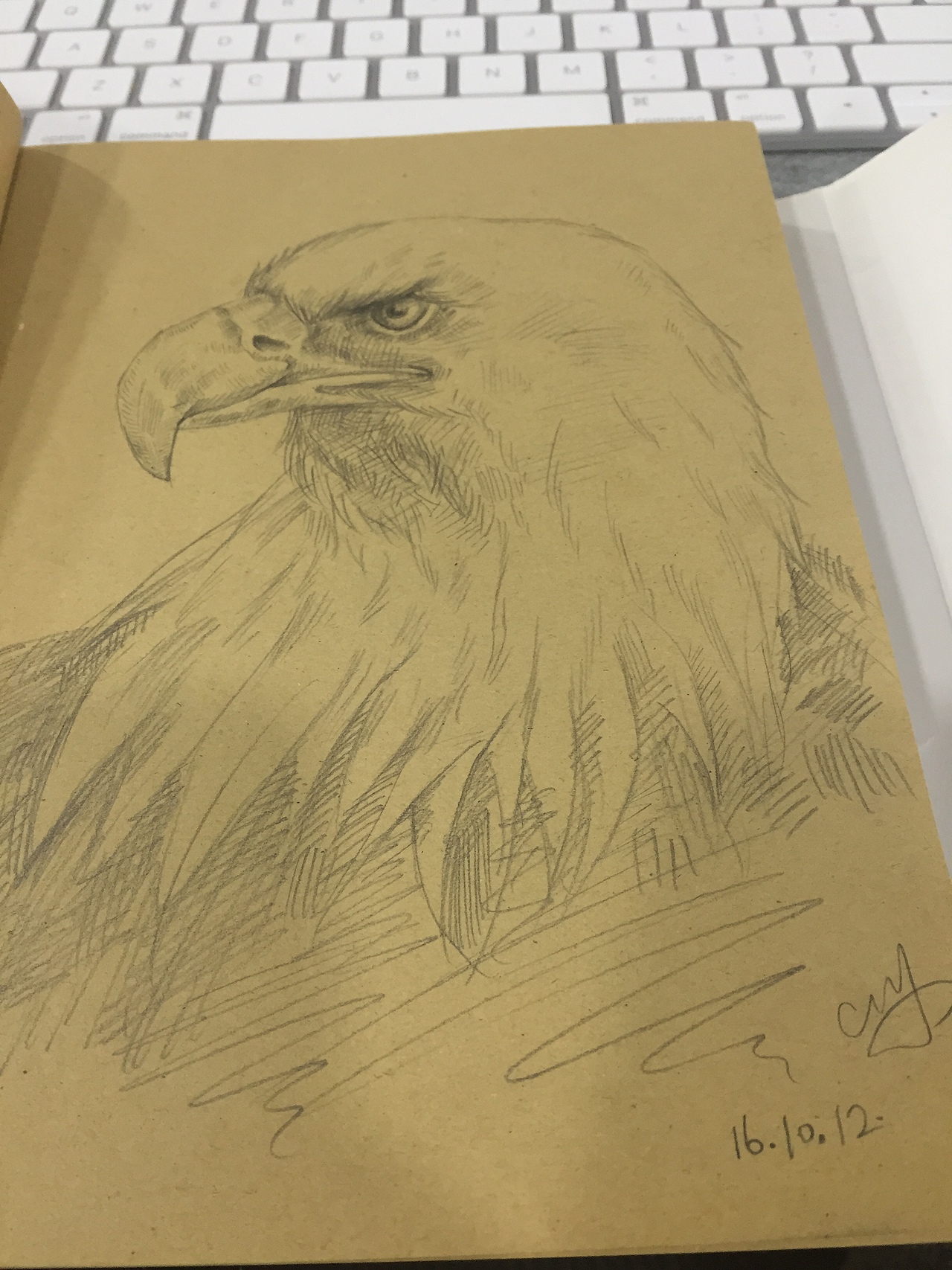 一个鸟（图ZNjA3MzU4OTI=） - 创作习作 - 站酷设计师乌灵阿原创素材 - 站酷ZCOOL