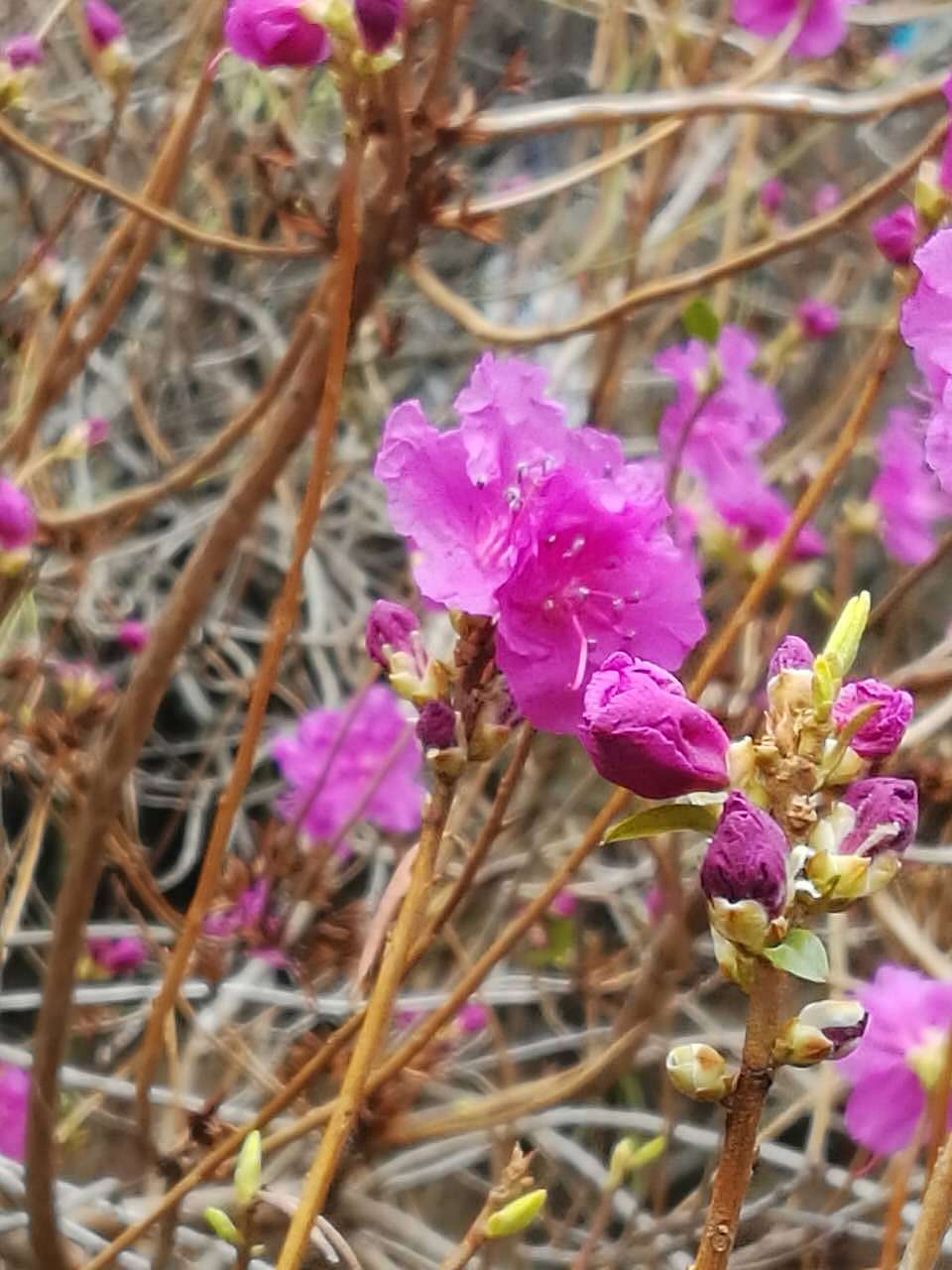 炎夏之春祭的回忆-珠山秀谷（图ZODQ4OTUyODg=） - 人像摄影 - 站酷设计师李钰剑原创素材 - 站酷ZCOOL