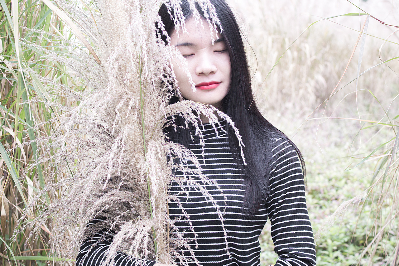 迷恋芦苇的美