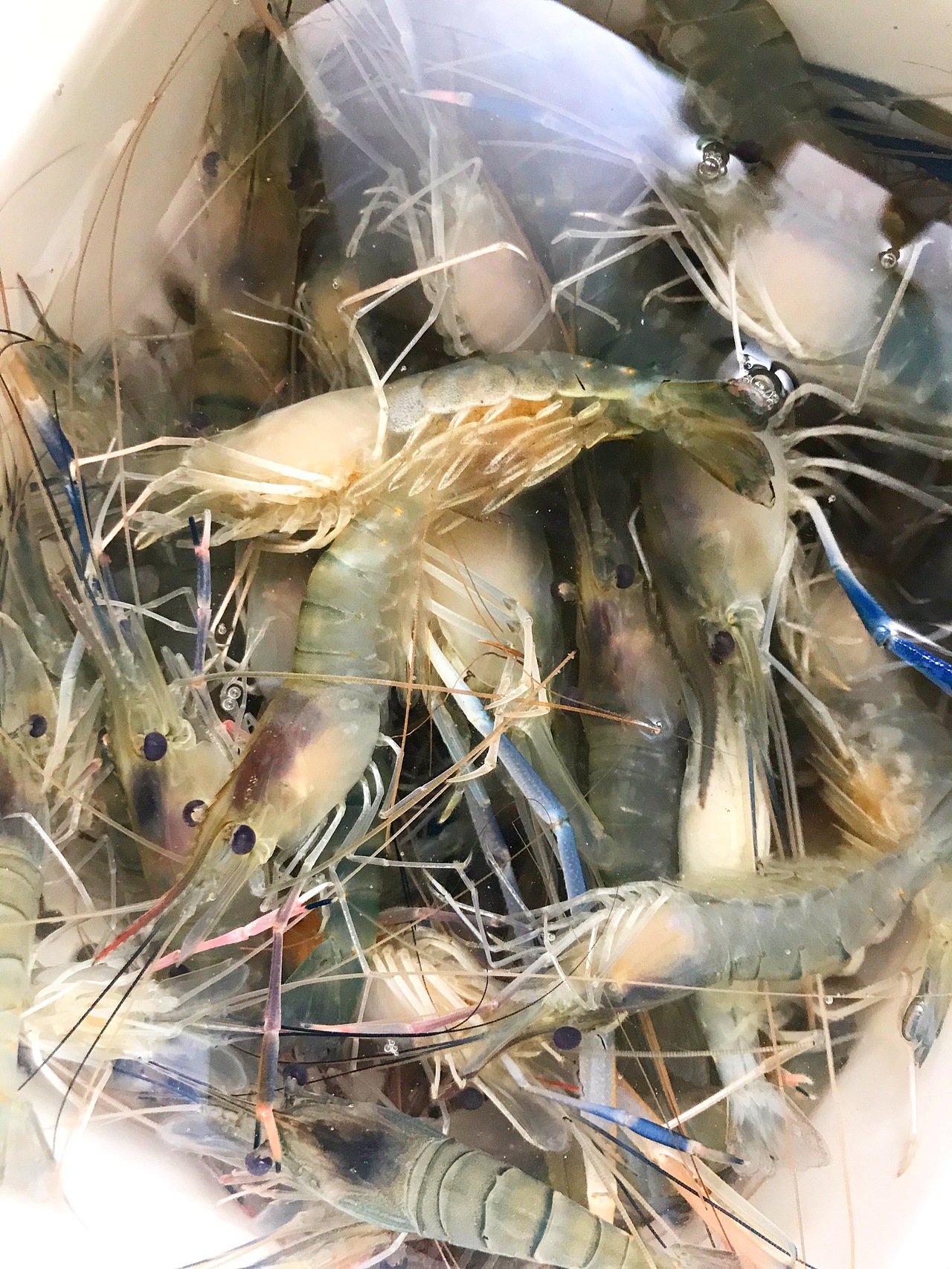 #单色调眼球artist（图ZMTMzOTAyNTA4） - 人文/纪实摄影 - 站酷设计师0重闲人小豆包原创素材 - 站酷ZCOOL