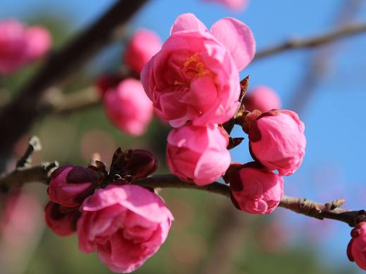 2014-3-22 中山公园摄影