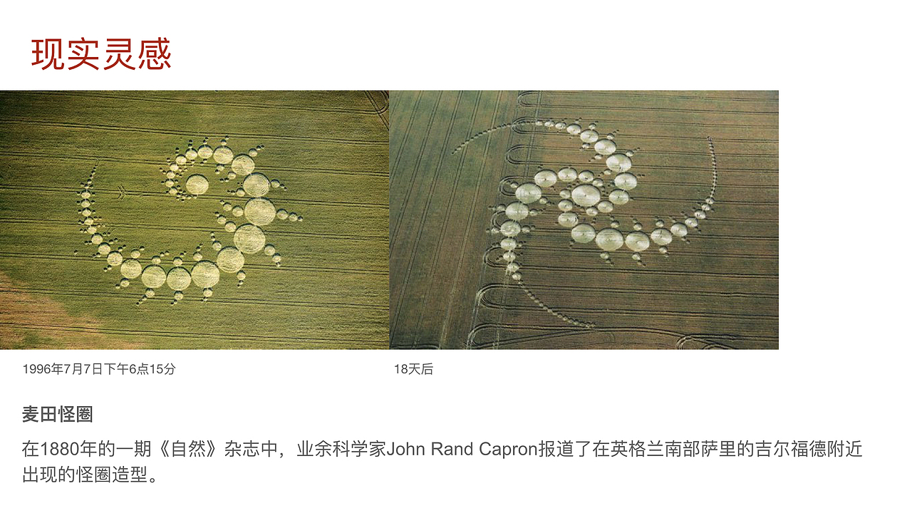 2019五芳斋端午“外来物粽”