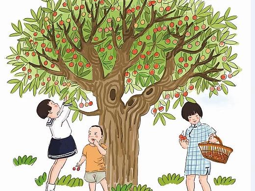 儿童插图 摘果子