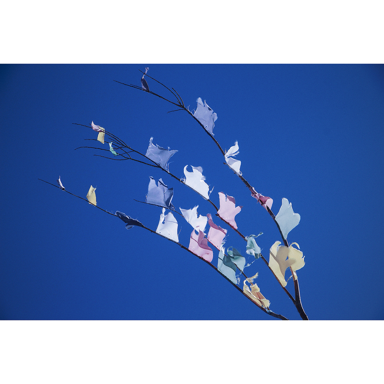 行走西藏（圖ZMjM4MDI5Njcy） - 人文/紀(jì)實(shí)攝影 - 站酷設(shè)計(jì)師溜直的一個(gè)彎原創(chuàng)素材 - 站酷ZCOOL