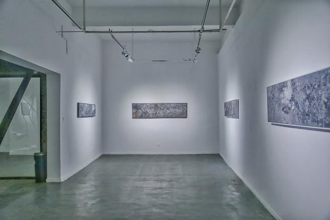 岳麓山 —— 谭小平个展