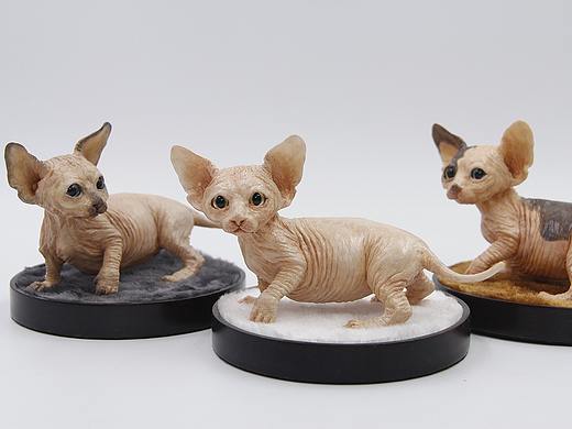 我的动物系列-小猫家族之由美