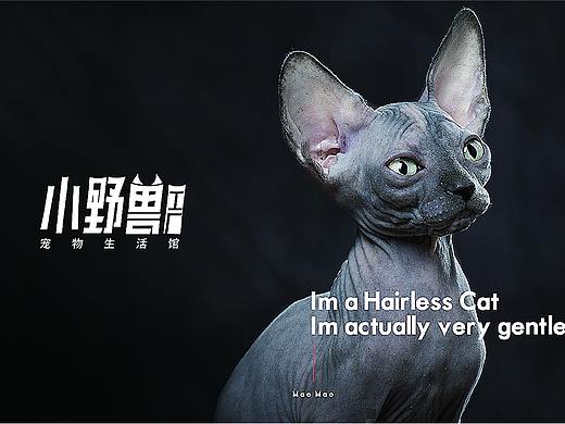 2018年瓦力作品-《小野兽宠物工厂》