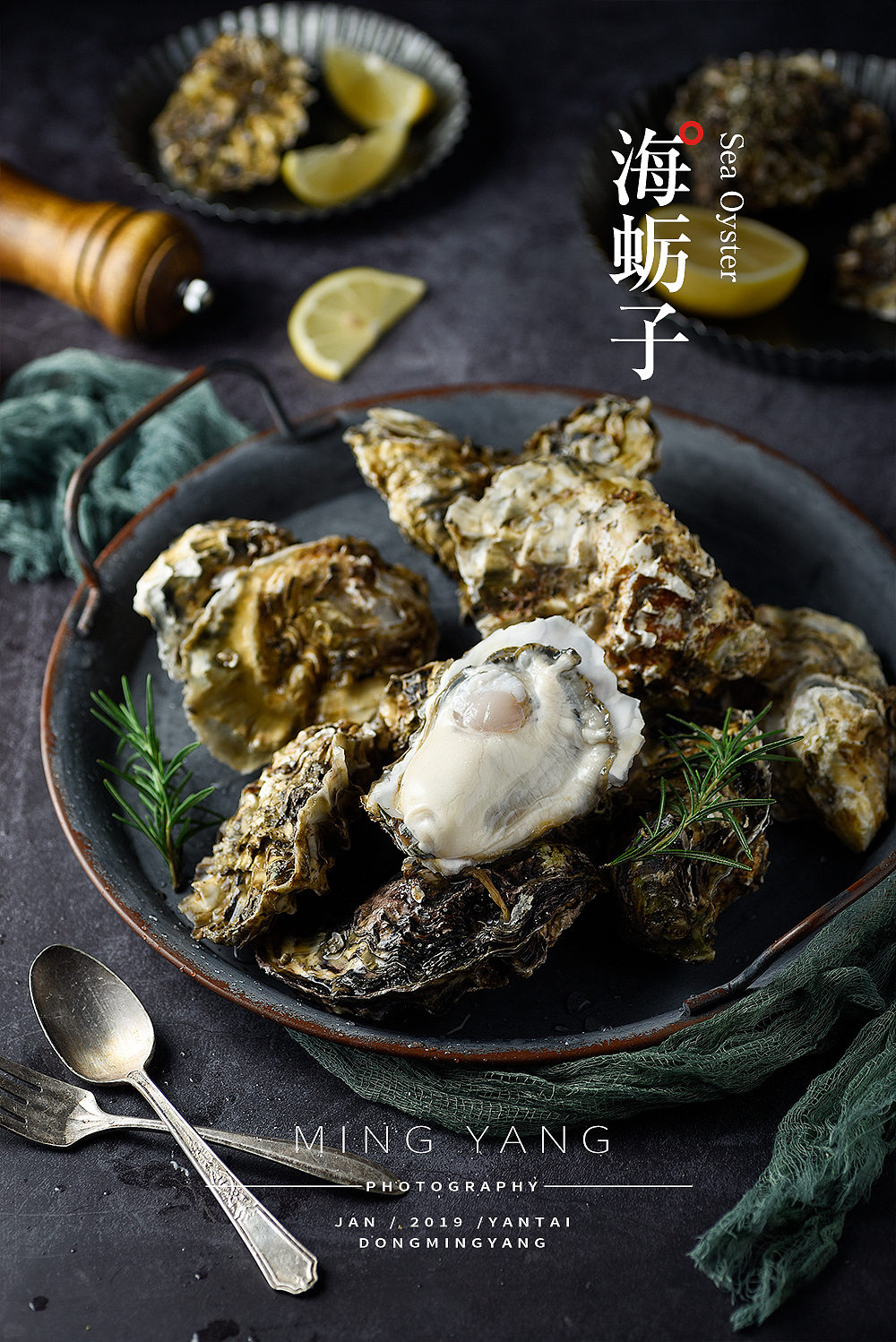 海蛎子/生蚝拍摄