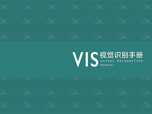 VIS设计