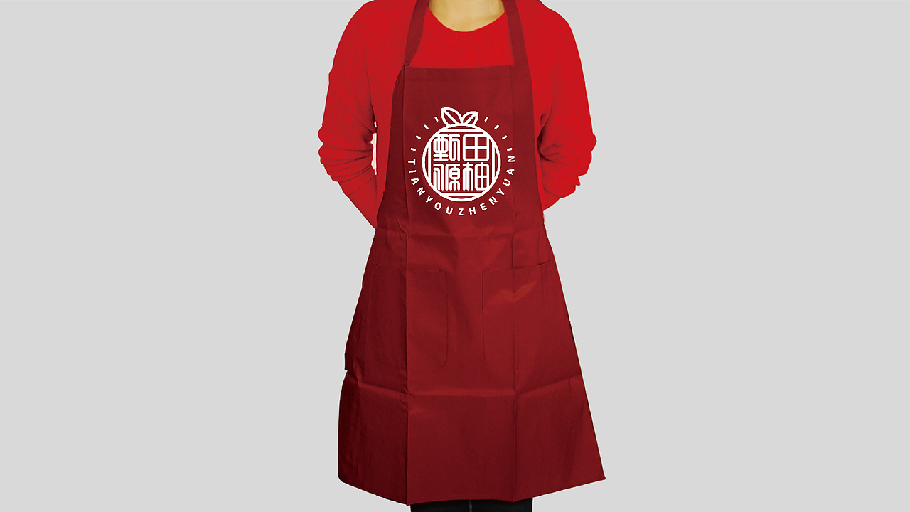 田柚甄源logo设计提案-飞机稿（图ZMTc1MTY1OTI4） - Logo - 站酷设计师黑璞设计原创素材 - 站酷ZCOOL