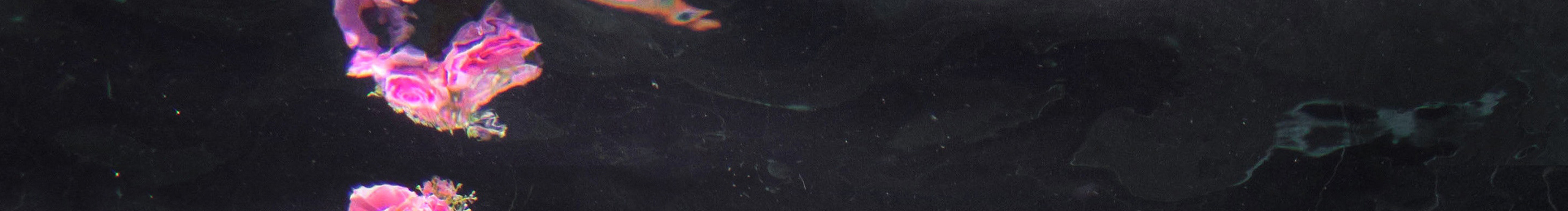 little_33的個人主頁（封面預(yù)覽） - 主頁封面設(shè)置 - 站酷設(shè)計師little_33原創(chuàng)素材 - 站酷ZCOOL