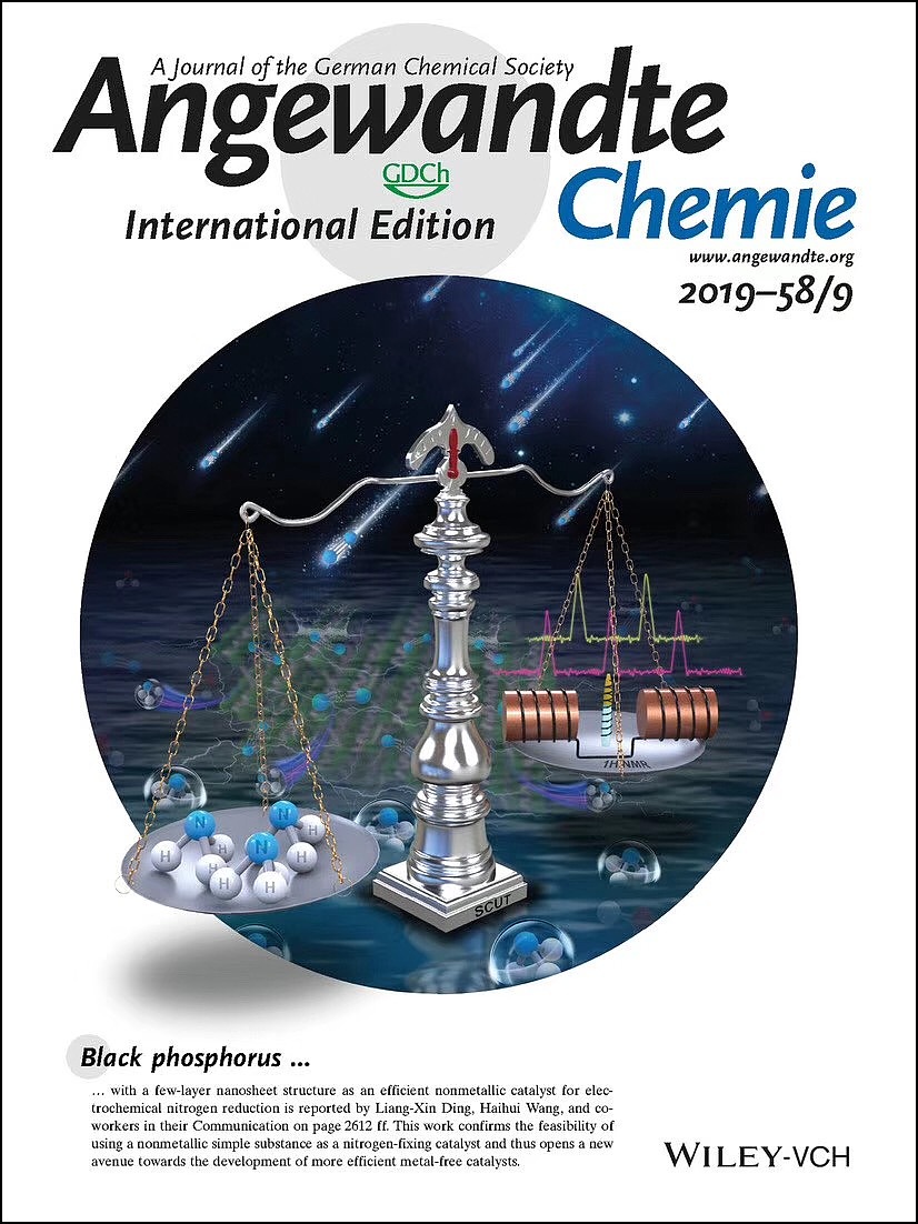sci学术期刊杂志封面设计科研绘图angewandtechem