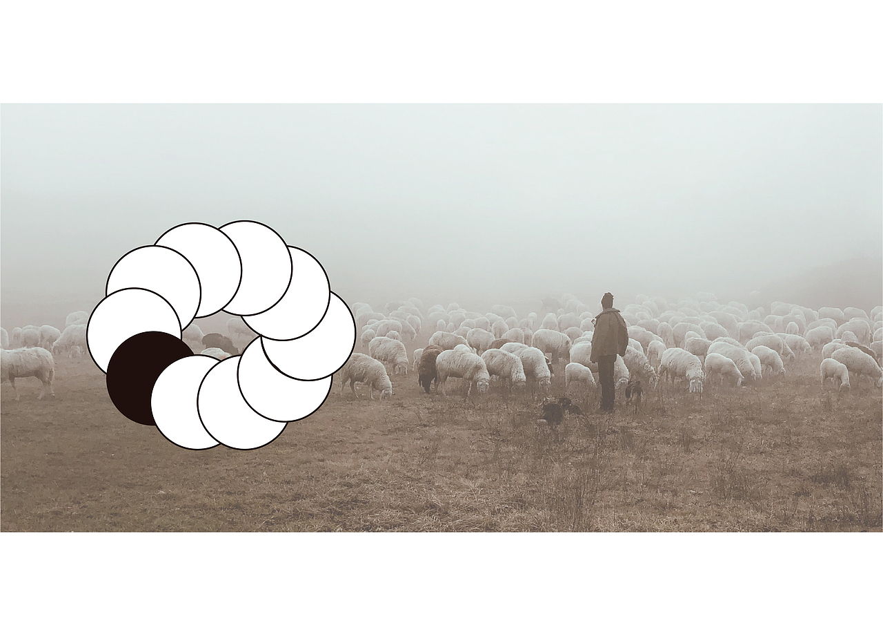 Blacksheep咖啡品牌设计（图ZMjc5MzM3MTEy） - 品牌 - 站酷设计师在锅里在门外原创素材 - 站酷ZCOOL