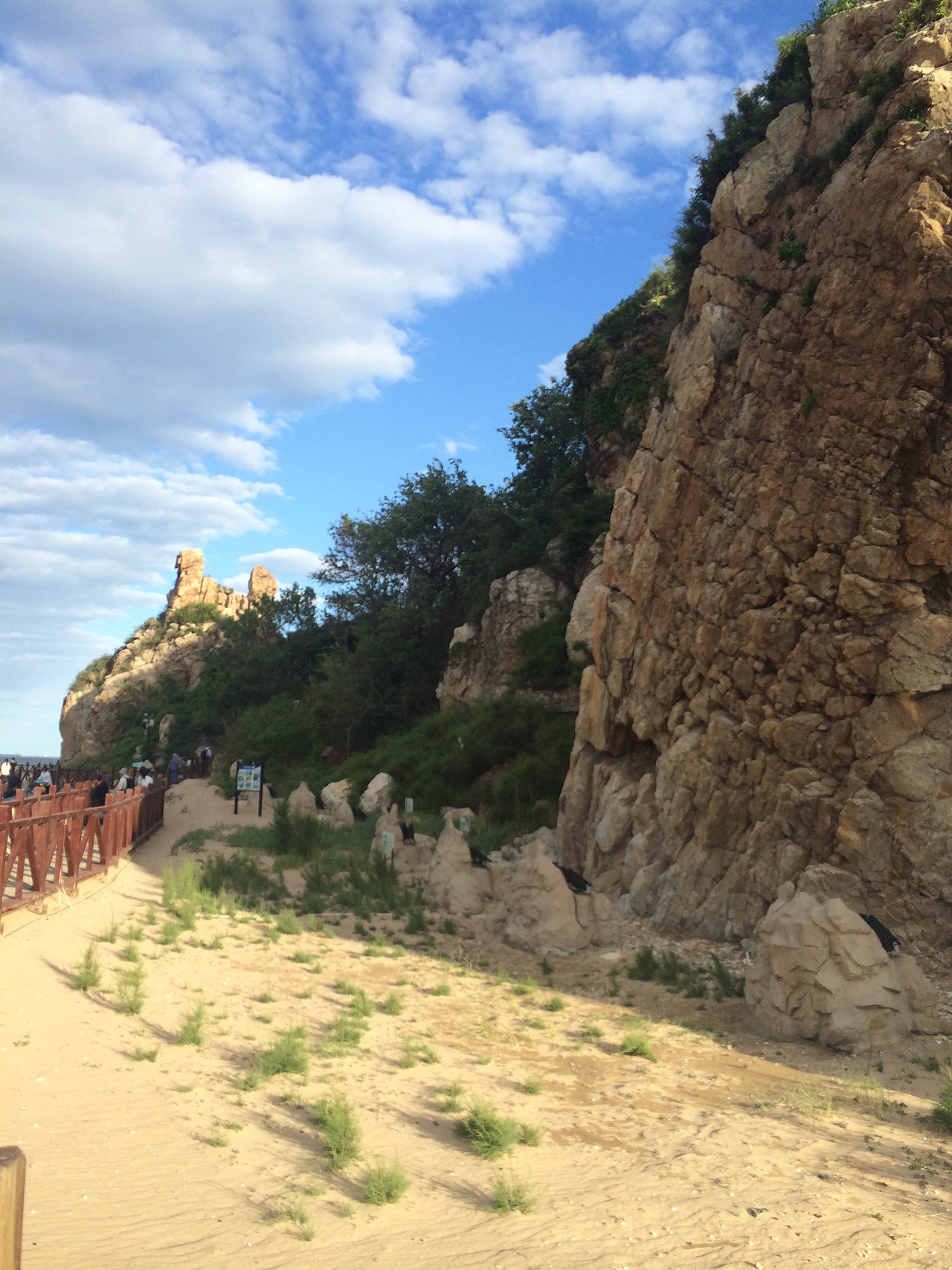 中外驰名鸽子窝