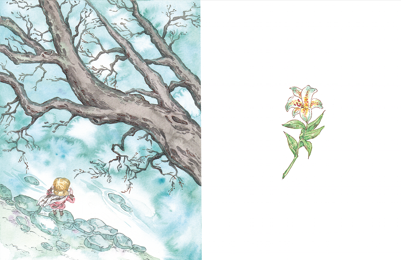 《百合姑娘》色稿节选