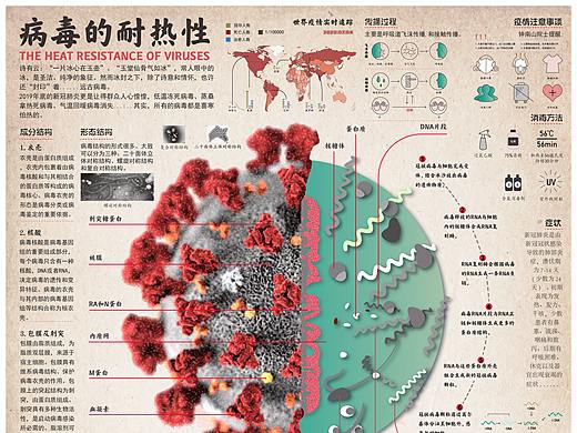 信息图表--病毒的抗热性                2019-2020 下