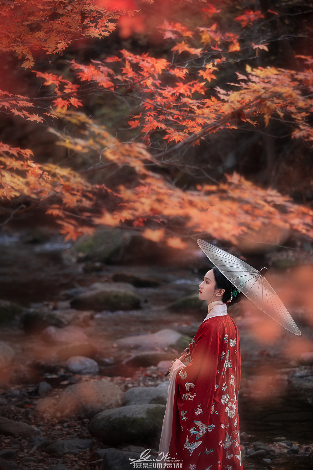 秋天,赴一场与红叶的约会