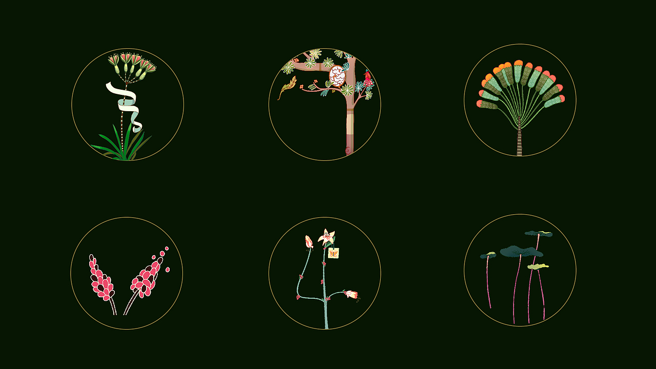 绽放永恒（图ZMjU5MDk1NjQw） - 商业插画 - 站酷设计师Dil迪力原创素材 - 站酷ZCOOL