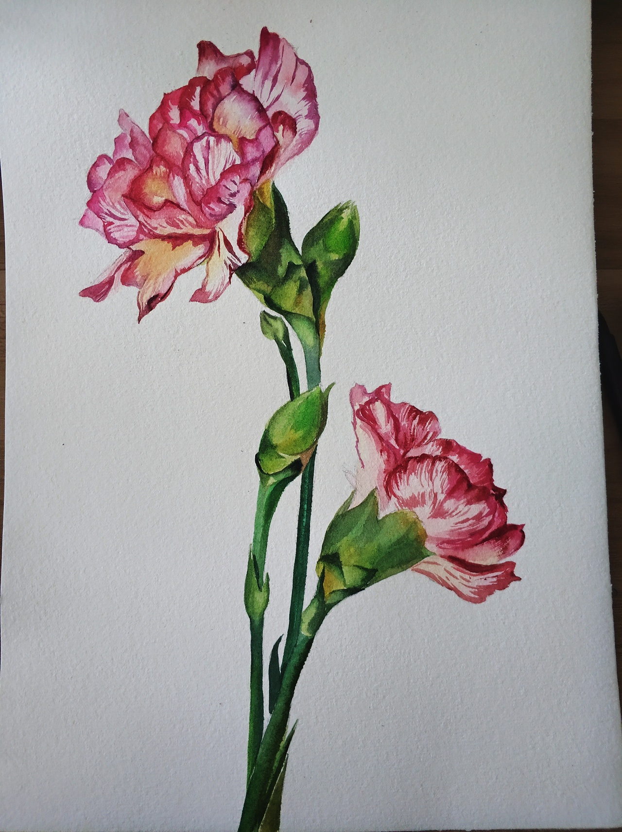 水彩写实花卉 - 原创作品 - 站酷(zcool)