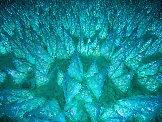 年度新作 | 在无尽之境呼唤森林