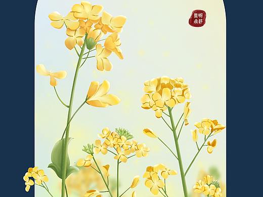 春日油菜花