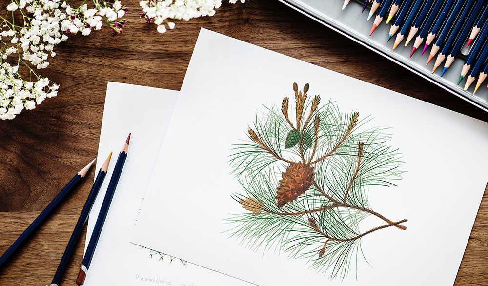 俏皮jun的个人主页（背景预览） - 主页背景设置 - 站酷设计师俏皮jun原创素材 - 站酷ZCOOL